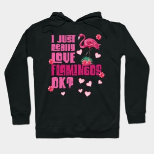 I just really Love Flamingos ok  Flamingo Hoodie